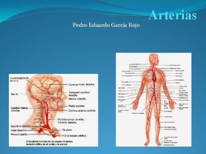 Pedro Eduardo Garca Rojo Arterias Cuestionario Qu conducen