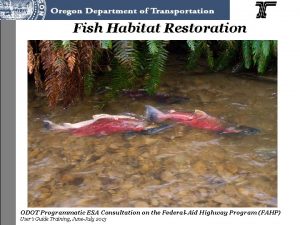 Fish Habitat Restoration ODOT Programmatic ESA Consultation on