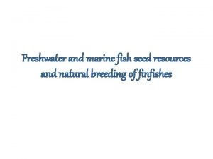 Freshwater and marine fish seed resources and natural