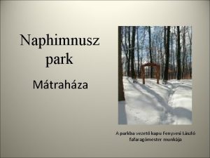 Naphimnusz park Mtrahza A parkba vezet kapu Fenyvesi