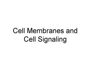 Cell Membranes and Cell Signaling The Plasma Membrane