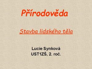 Prodovda Stavba lidskho tla Lucie Synkov UST 1