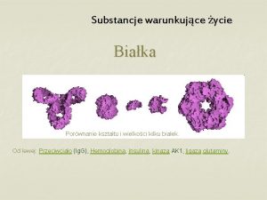 Substancje warunkujce ycie Biaka Porwnanie ksztatu i wielkoci