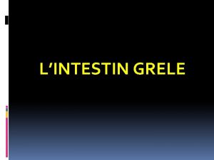 LINTESTIN GRELE LINTESTIN GRELE GENERALITES STRUCTURE HISTOLOGIQUE La