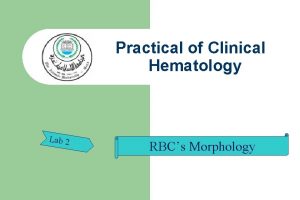 Practical of Clinical Hematology Lab 2 RBCs Morphology