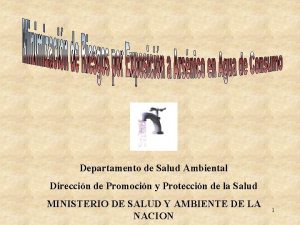 Departamento de Salud Ambiental Direccin de Promocin y