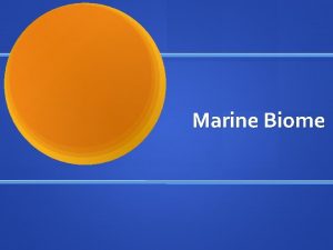 Marine Biome What is a Biome A biome
