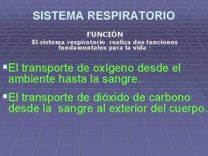 SISTEMA RESPIRATORIO FUNCIN El sistema respiratorio realiza dos