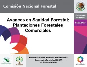 Avances en Sanidad Forestal Plantaciones Forestales Comerciales Reunin
