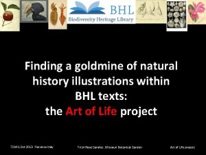 Finding a goldmine of natural history illustrations within
