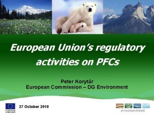 European Unions regulatory activities on PFCs Peter Korytr