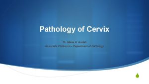 Pathology of Cervix Dr Maria A Arafah Associate