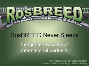 Ros BREED Never Sleeps Integration value of international