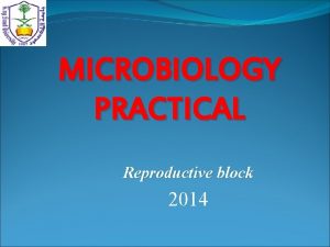 MICROBIOLOGY PRACTICAL Reproductive block 2014 Sexually Transmitted Diseases