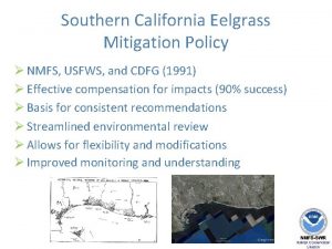 Southern California Eelgrass Mitigation Policy NMFS USFWS and