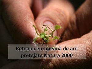 Reeaua european de arii protejate Natura 2000 Scopul