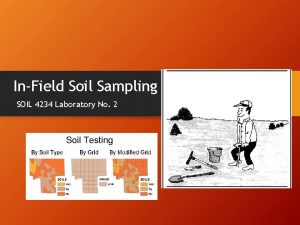 InField Soil Sampling SOIL 4234 Laboratory No 2