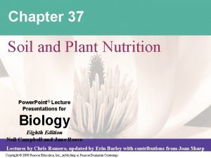 Chapter 37 Soil and Plant Nutrition Power Point