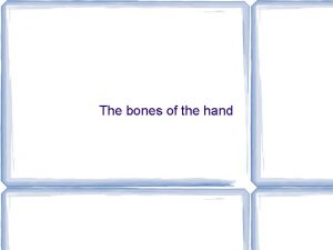 The bones of the hand Capitate by 2