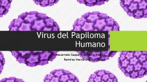 Virus del Papiloma Humano Navarrete Gaspar Stephanie Michell