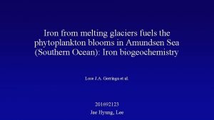 Iron from melting glaciers fuels the phytoplankton blooms