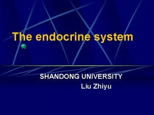 The endocrine system SHANDONG UNIVERSITY Liu Zhiyu The