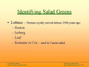 Identifying Salad Greens Lettuce Persian royalty served lettuce