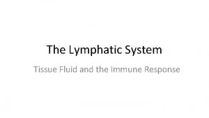 The Lymphatic System Tissue Fluid and the Immune