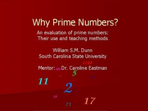 Why Prime Numbers An evaluation of prime numbers