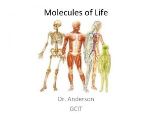 Molecules of Life Dr Anderson GCIT Cells and