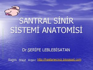 SANTRAL SNR SSTEM ANATOMS Dr ERFE LEBLEBSATAN Salk