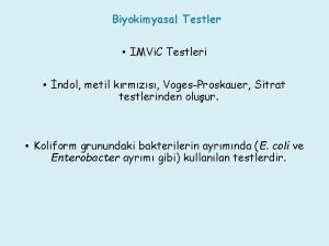 Biyokimyasal Testler IMVi C Testleri ndol metil krmzs