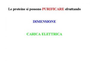 Le proteine si possono PURIFICARE sfruttando DIMENSIONE CARICA