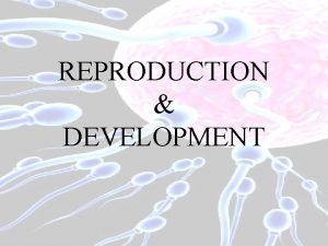 REPRODUCTION DEVELOPMENT Vocab Log Asexual Reproduction Sexual Reproduction