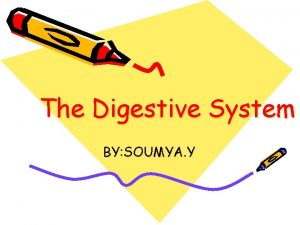 The Digestive System BY SOUMYA Y Components Oesophagus