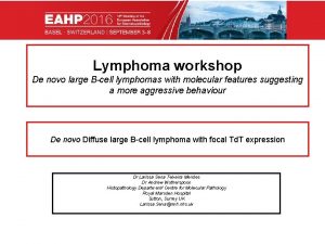 Lymphoma workshop De novo large Bcell lymphomas with
