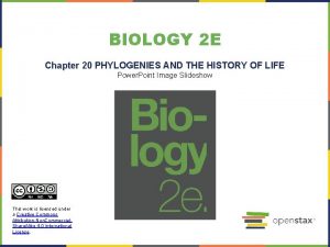 BIOLOGY 2 E Chapter 20 PHYLOGENIES AND THE