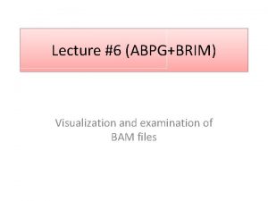 Lecture 6 ABPGBRIM Visualization and examination of BAM