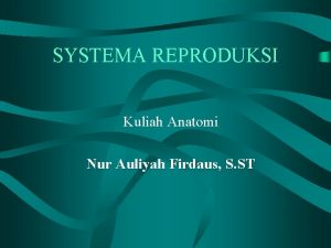 SYSTEMA REPRODUKSI Kuliah Anatomi Nur Auliyah Firdaus S