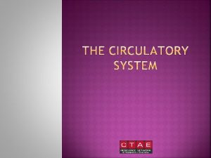 THE CIRCULATORY SYSTEM The circulatory system is made