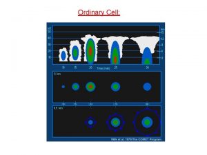 Ordinary Cell Multicell Supercell Physical processes controlling cell