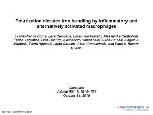 Polarization dictates iron handling by inflammatory and alternatively