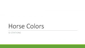 Horse Colors ID STATIONS Base Colors The extension