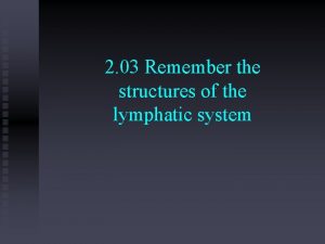 2 03 Remember the structures of the lymphatic