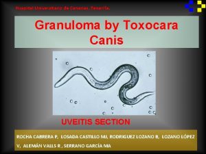 Hospital Universitario de Canarias Tenerife Granuloma by Toxocara