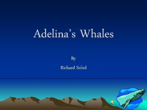 Adelinas Whales By Richard Sobol Vocabulary 1 What