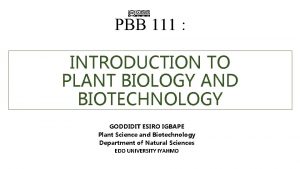 Pbb plants