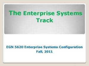 The Enterprise Systems Track EGN 5620 Enterprise Systems
