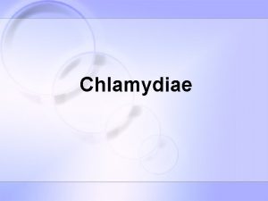 Chlamydiae Chlamydiae are small gramnegative bacteria which obligate