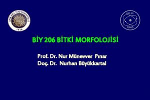 BY 206 BTK MORFOLOJS Prof Dr Nur Mnevver